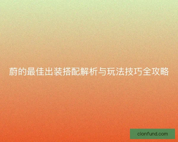 蔚的最佳出装搭配解析与玩法技巧全攻略